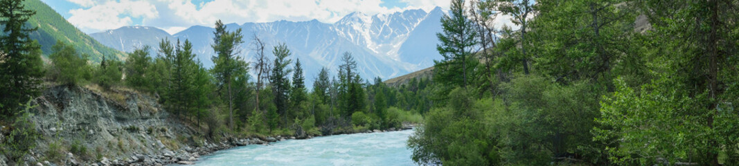 Beautiful panoramic landscape of mountain river with rocky banks and green forest, banner format