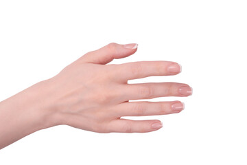 Woman hands with french manicure isolated on white bacckground.