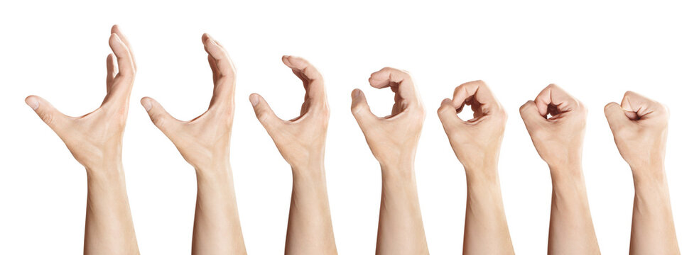 Collection of holding/seizing hand gestures, isolated on white background