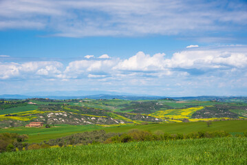 Fototapeta na wymiar Tuscan scenery background. Italy. Countryside hill landscape panorama with typical farmhouses, cypress trees and blossoming rapeseed flowers in sunny day.