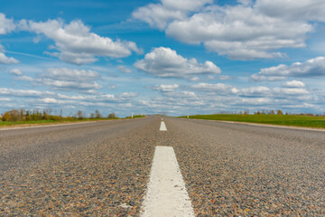 An empty asphalt road through the green agricultural fields with a forest in the background on a sunny summer day.