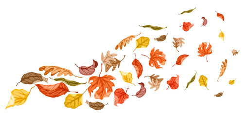 Background with autumn foliage. Illustration of leaves.