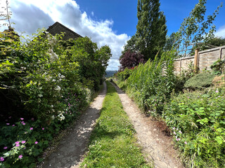 Fototapeta na wymiar Old cart track, with wild plants, bushes, and stone cottages, in the village of, Rawdon, Leeds, UK