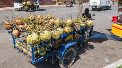 A mobile street seller sells coconuts in Phnom Penh, Cambodia.