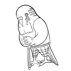 coloring Budgerigar old in pants leans on a stick vector illustration