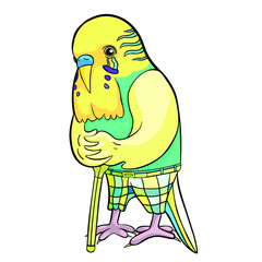  Budgerigar old in pants leans on a stick vector illustration