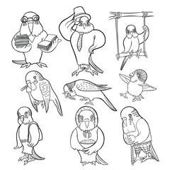 coloring Set of wavy parrot different images vector illustration.