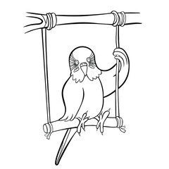 coloring wavy parrot is riding on a swing vector illustration.