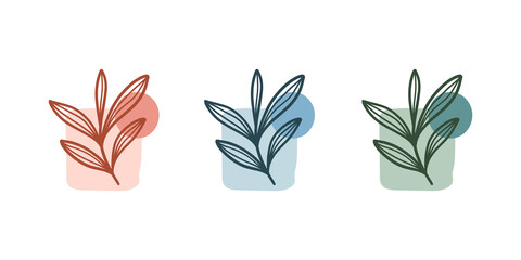 Abstract botanical plant. Fluid organic shapes. Modern shape line art wallpaper. Vector illustration