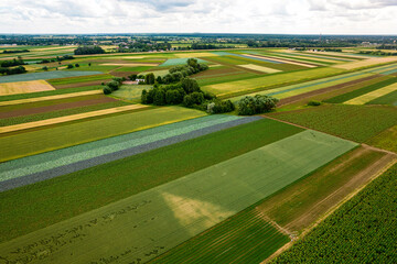 Kolorowe pola uprawne widziane z góry, rolniczy krajobraz polskiej wsi.  