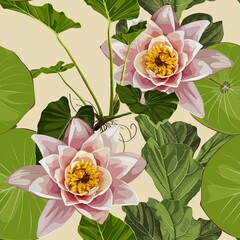 Tropical plant with lotus, water lily with leaves. Water lily flowers and exotic plant. Aquatic plants, Japanese and Chinese illustration.