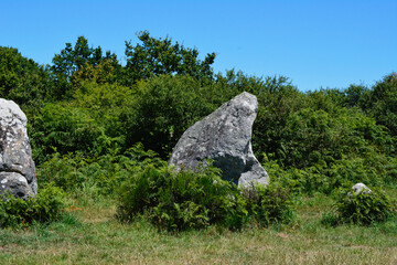 Menhir 1