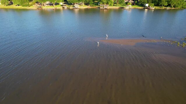 Aerial Footage Of Cedar Creek Lake In Texas.  Camera Is Flying West Over A Sand Bar And White Herons.