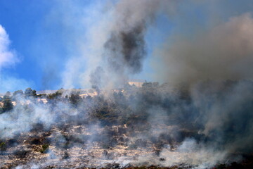 A UN helicopter puts out a fire in a forest on the Israel-Lebanon border.