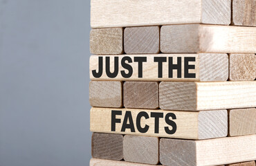 Obraz premium The text on the wooden blocks JUST THE FACTS
