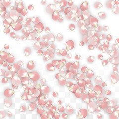 Pink Vector Realistic Petals Falling on Transparent Background.  Spring Romantic Flowers Illustration. Flying Petals. Sakura Spa Design. Blossom Confetti. Design Elements for Wedding Decoration.