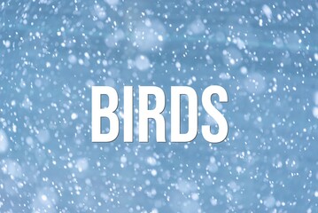 BIRDS - word on the background of the sky with clouds.