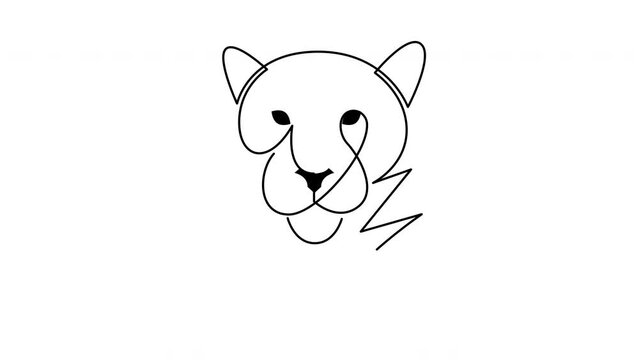 Self drawing simple animation of continuous one line drawing of African Tiger. Drawing by hand, black lines on a white background.