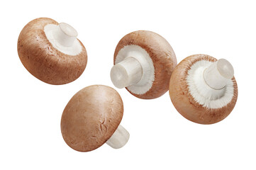 Flying delicious mushrooms, isolated on white background