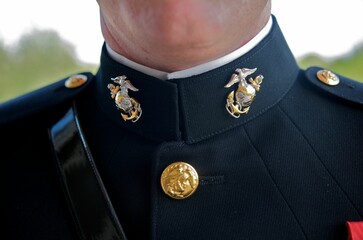 Closeup of a groom's marine corps uniform symbols dressed on his wedding day - obrazy, fototapety, plakaty