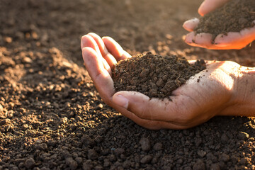 Loam soil for cultivation in the hands of men.
