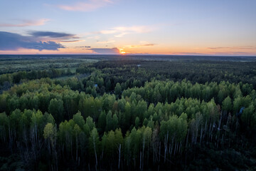 Aerial view on sunset above treetops