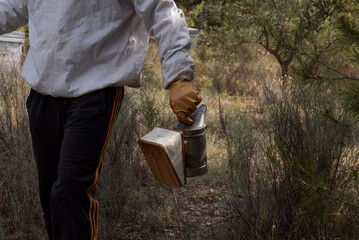Mano protegida de apicultor con traje, ahumador en la mano para tranquilizar las abejas.