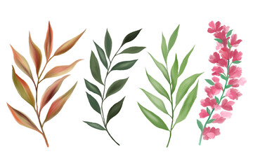 Watercolor gouache wild field botabical leaf foliage arrangement ornament hand drawn illustration element