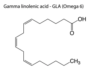 Foto op Aluminium Digital vector illustration of the chemical structure of Gamma Linolenic Acid or Omega 6 © Pieralbur/Wirestock Creators