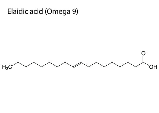 Digital vector illustration of the chemical structure of Elaidic Acid or Omega 9