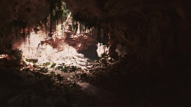 cave in an extinct volcano covered with grass and plants
