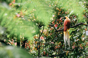 Taman Safari Zoo Animals