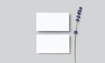 Mockup two cutaway, discount, business card on a grey minimalism background and lavender flowers