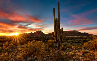 Foto op Canvas Sunset over the Tonto National Forest © Chrisfloresfoto