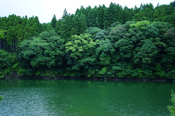 キレイな川