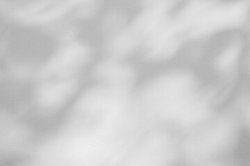 Obraz premium Abstract natural tree leaves shadow on white wall background