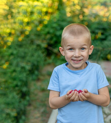 A happy child holds a raspberry that he has just picked. Looking into the camera. ?opy space