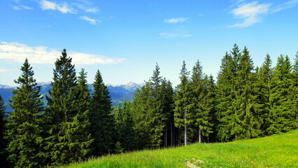 Fototapeta na wymiar Herrliches Wandergebiet mit Blick auf Wetterstein im Ammergau mit Wiesen, Weg und Wald unter blauem Himmel