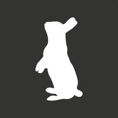 Vector sitting Hare silhouette isolated on black White sitting Rabbit on black background.	