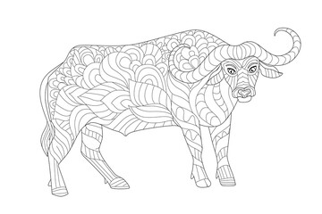 African buffalo for your coloring book