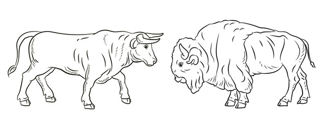 Large wild animal buffalo, black and white image. Coloring book for kids. Vector drawing.