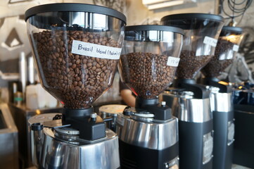 coffee beans in a coffee grinder