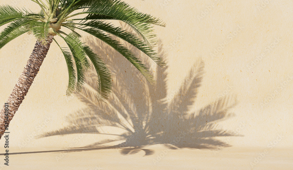 Aufkleber background with a shadow from a palm tree on the wall.cover, postcard. 3d rendering.
