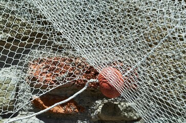 Net float and fishing net
