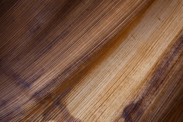 Abstract pattern background image in nature. Beautiful lines and textures.