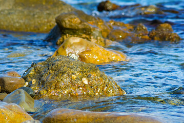 closeup stones in water  near sea bay coast