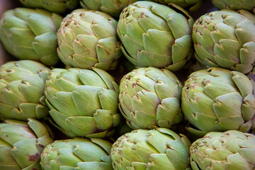 Green artichoke buds lie in rows for sale in market. Background of artichoke buds.