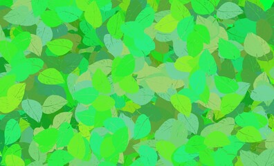 Abstract background. Texture. Green background with leaves. Leaves from trees