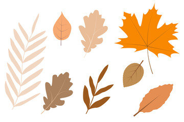 simple vector background autumn leaves