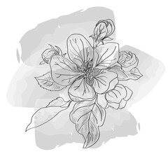 Flower plant linear illustration flat watercolor illustration